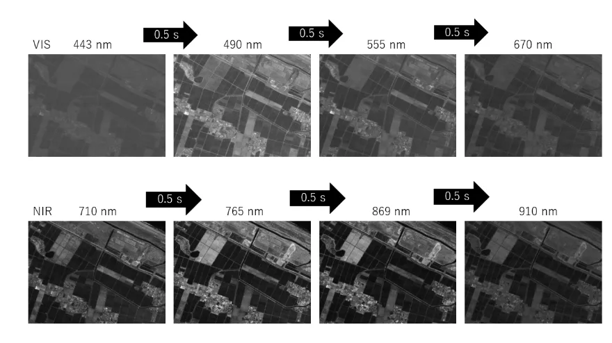 LCTFで撮影した画像例